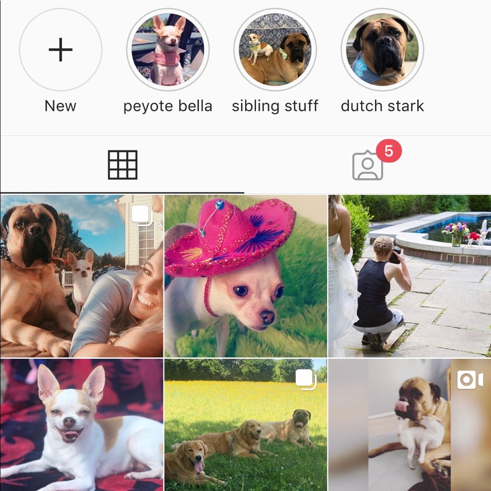 Follow Me! ✌🏻️ - Picture 5 of 5